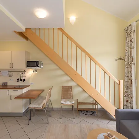 Schneeeule 207 Daire *