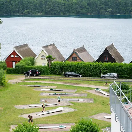 Schneeeule 207 * Granzow